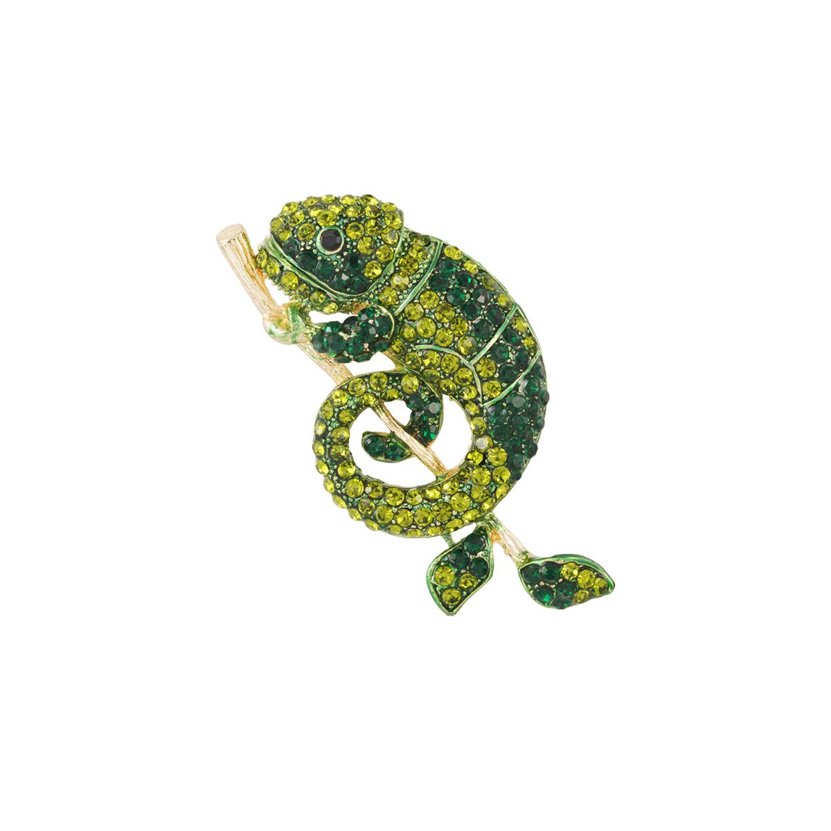 Broš Salamander